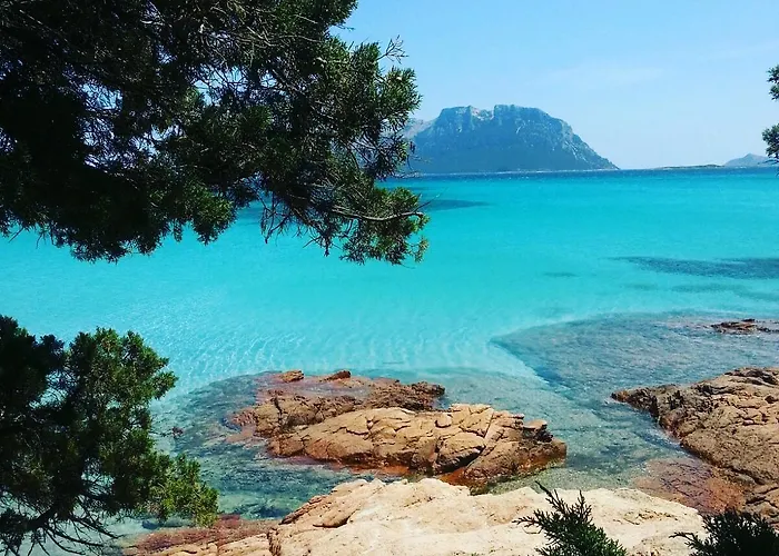 B&B Somiar San Teodoro 